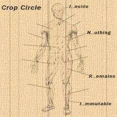 Crop Circle : Inside Nothing Remains Immutable